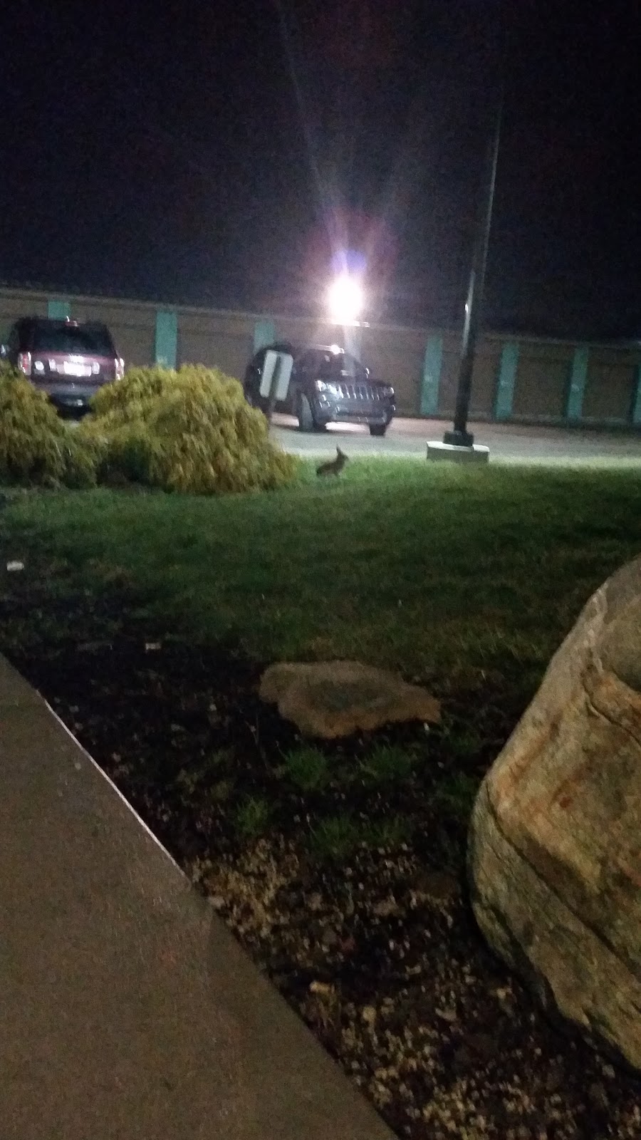 Elks Lodge | restaurant | 2409 Peninsula Dr, Erie, PA 16506, USA | 8148339780 OR +1 814-833-9780