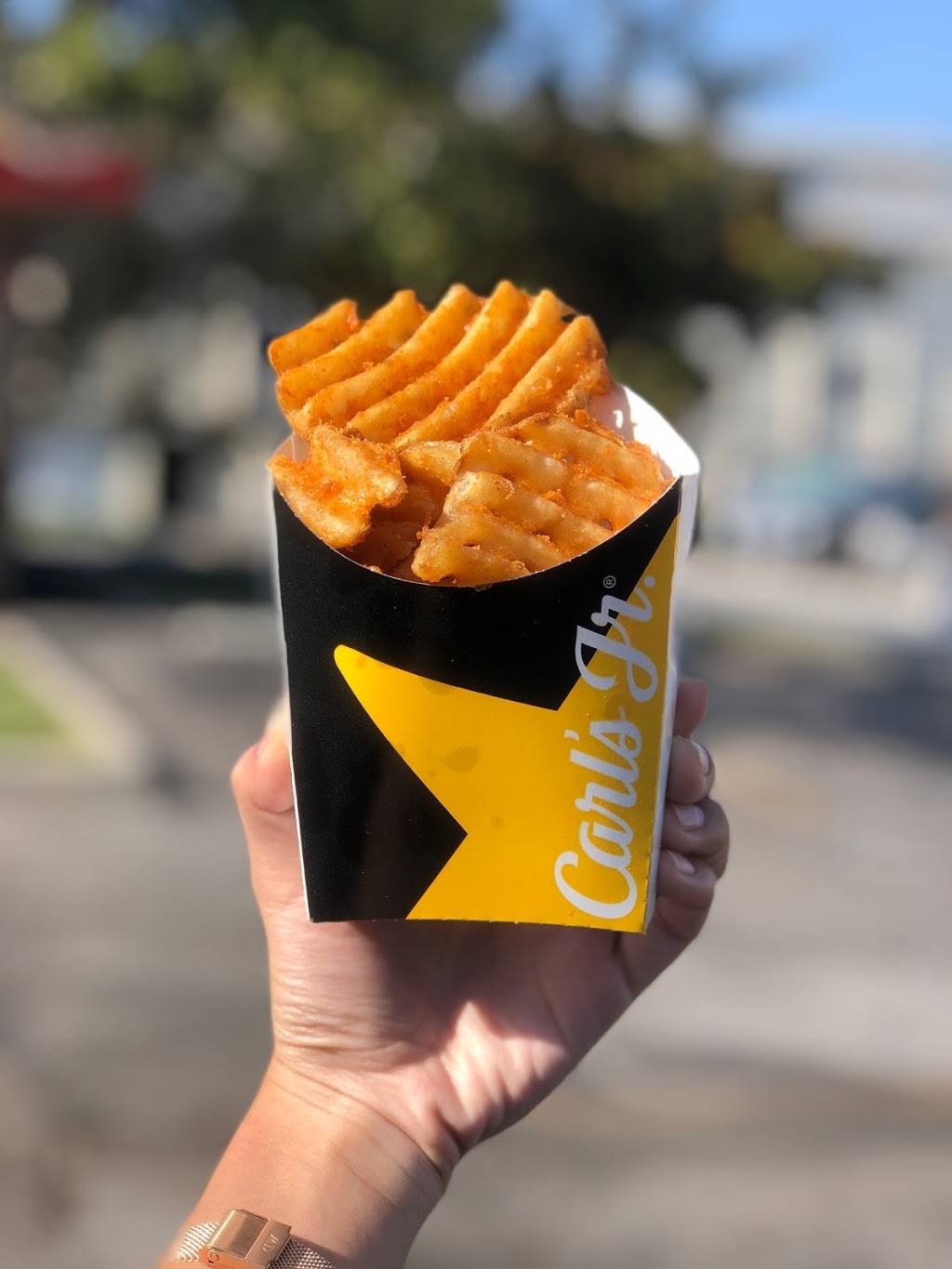 Carls Jr. | restaurant | 21112 Anza Ave, Torrance, CA 90503, USA | 3103711586 OR +1 310-371-1586