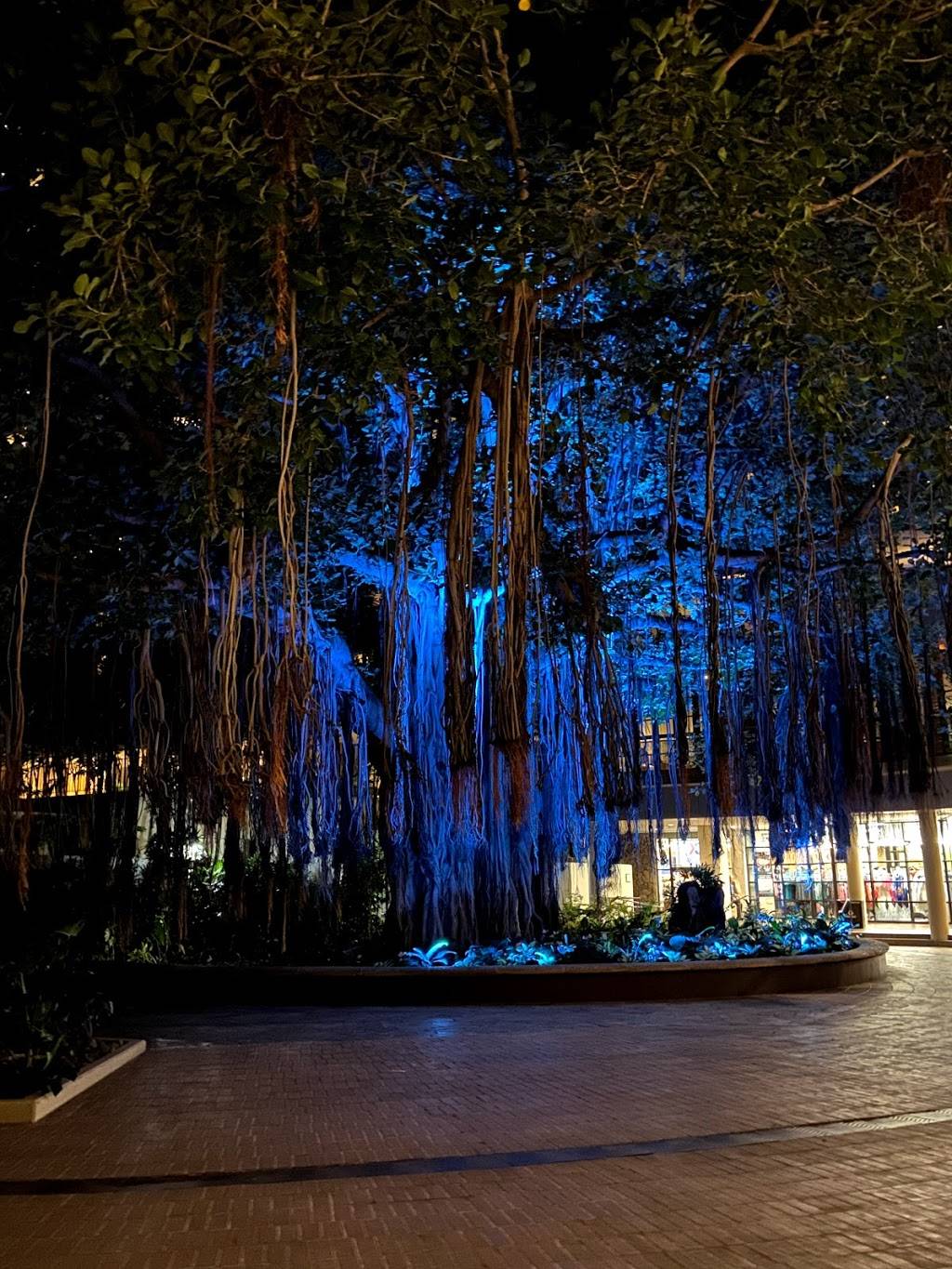 Bibas Courtyard Grill | restaurant | 2055 Kalia Rd, Honolulu, HI 96815, USA | 8089559635 OR +1 808-955-9635