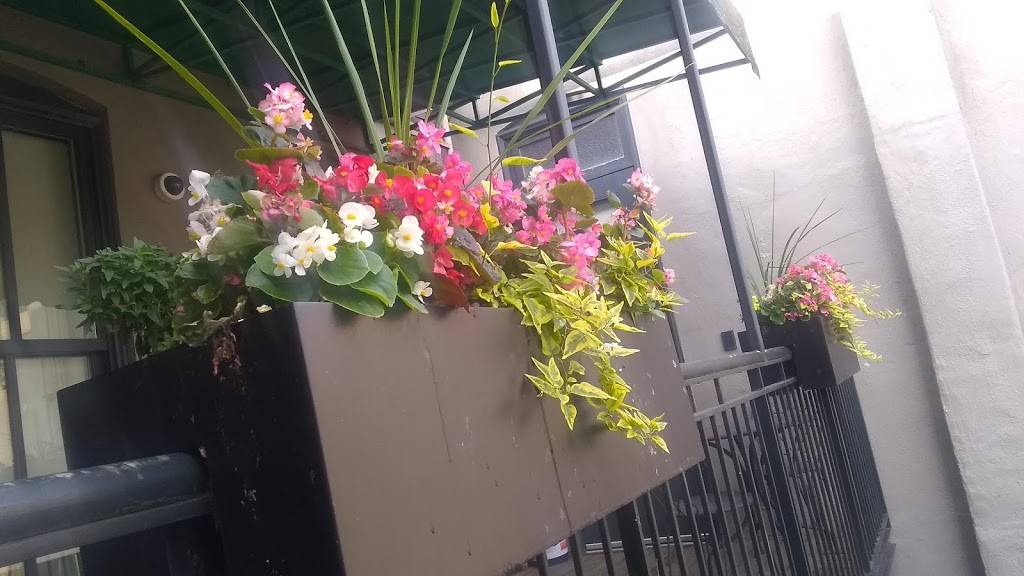 Olympic Flame Restaurant | restaurant | 514 E Grand Ave, Des Moines, IA 50309, USA | 5152434361 OR +1 515-243-4361