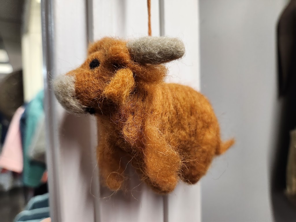 Rays Sweet Shoppe and Poutinerie | restaurant | 352 W Main St, Covington, VA 24426, USA | 5409623404 OR +1 540-962-3404