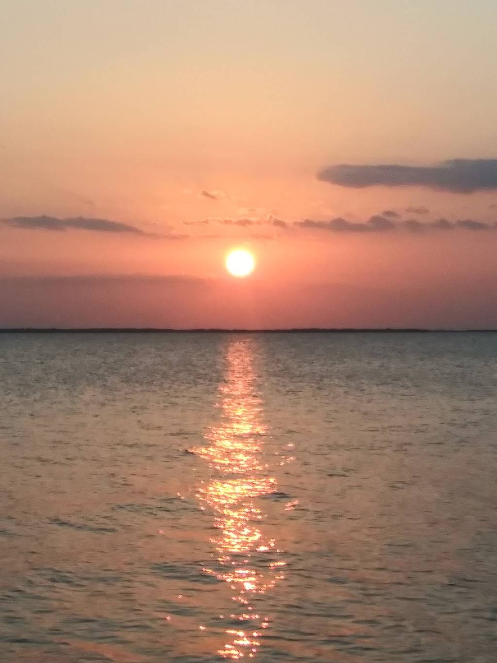 Hungry Howies Pizza and Subs | meal delivery | 525 Pine Island Rd, North Fort Myers, FL 33903, USA | 2399959100 OR +1 239-995-9100