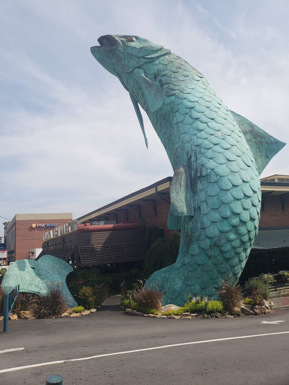 Atlanta Fish Market | restaurant | 265 Pharr Rd NE, Atlanta, GA 30305, USA | 4042623165 OR +1 404-262-3165