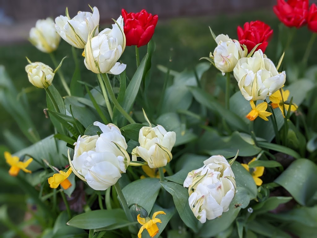 Screw and Brew | restaurant | 1287 S Hemlock St, Cannon Beach, OR 97110, USA | 5034364086 OR +1 503-436-4086