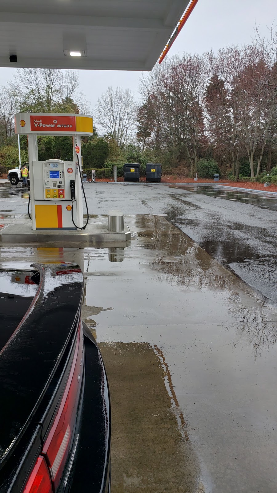 Shell | restaurant | 5203 S Miami Blvd, Durham, NC 27703, USA | 9199411965 OR +1 919-941-1965