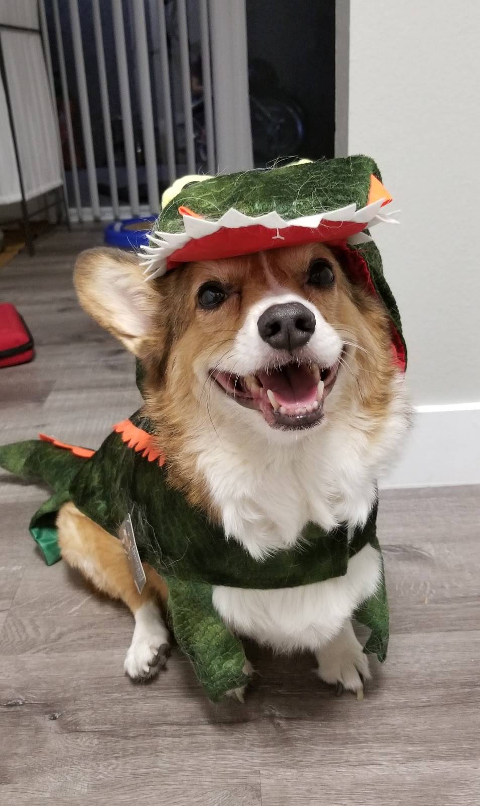 PetPoint Medical Center and Resort | restaurant | 2505 Da Vinci, Irvine, CA 92614, USA | 9495225700 OR +1 949-522-5700