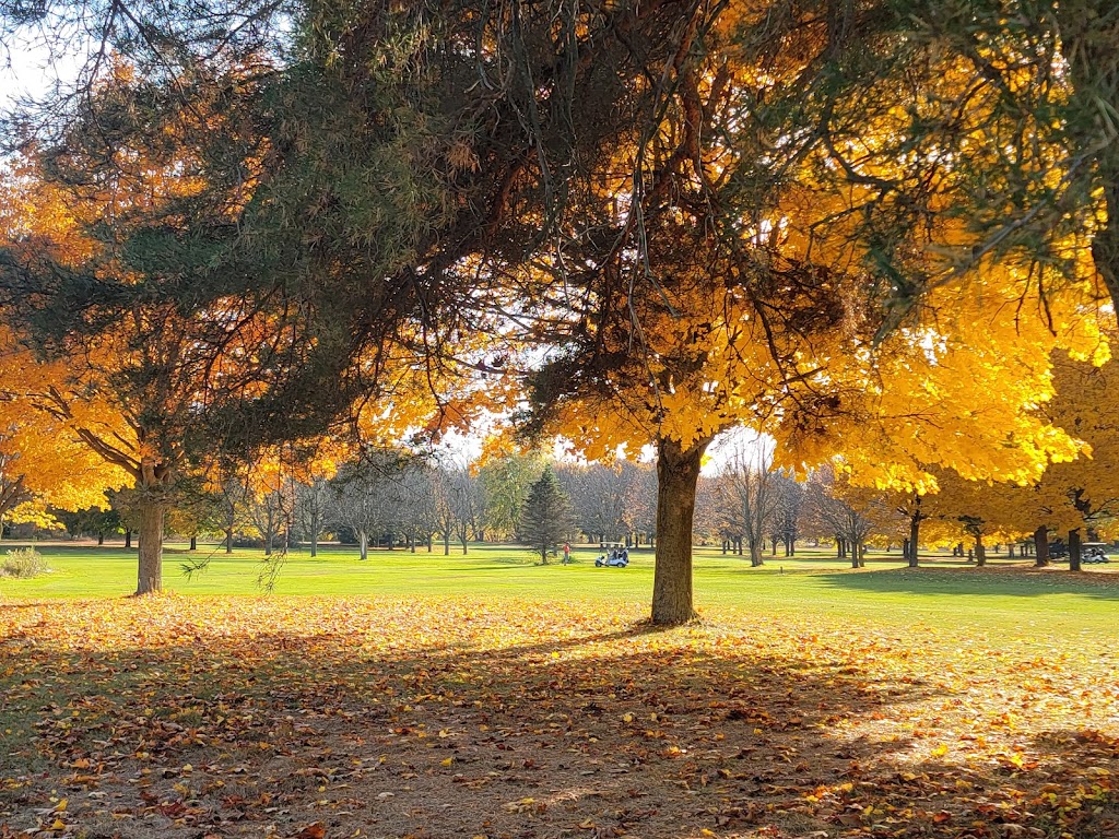 Willow Ridge Golf Club | restaurant | 3311 N River Rd, Fort Gratiot Twp, MI 48059, USA | 8109827010 OR +1 810-982-7010