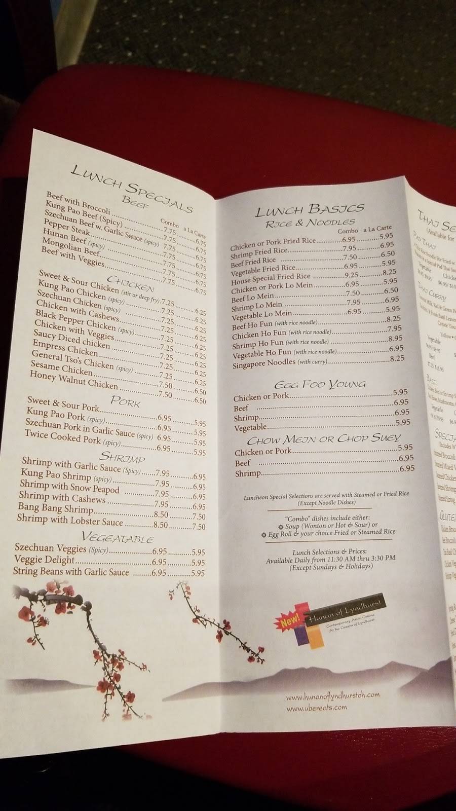 Hunan | restaurant | 5670 Mayfield Rd, Lyndhurst, OH 44124, USA | 4406469100 OR +1 440-646-9100