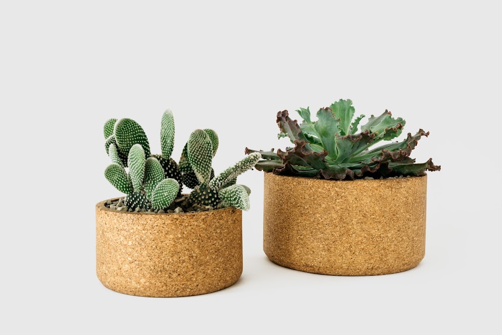 Melanie Abrantes Designs | restaurant | 155 Filbert St, Oakland, CA 94607, USA | 7134017497 OR +1 713-401-7497