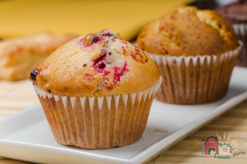 County Farm Bagels | cafe | 27W 195 Geneva Rd, Winfield, IL 60190, USA | 6306655777 OR +1 630-665-5777