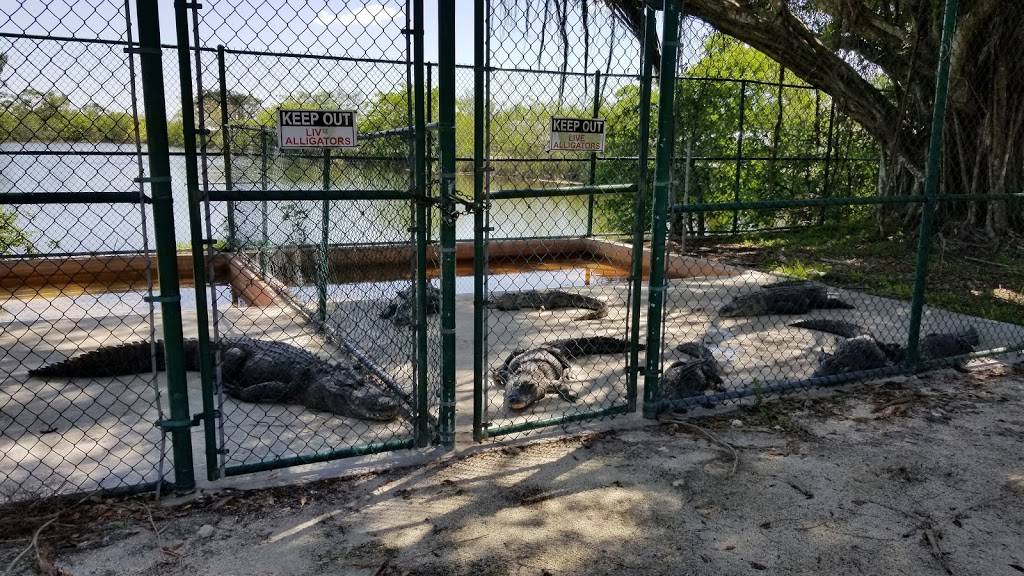 Gator Park | restaurant | 24050 SW 8th St, Miami, FL 33194, USA | 3055592255 OR +1 305-559-2255