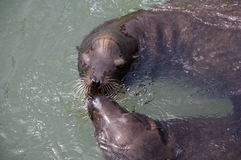 Crabcakes & Sweets | restaurant | Beach St, San Francisco, CA 94133, USA | 4152633526 OR +1 415-263-3526
