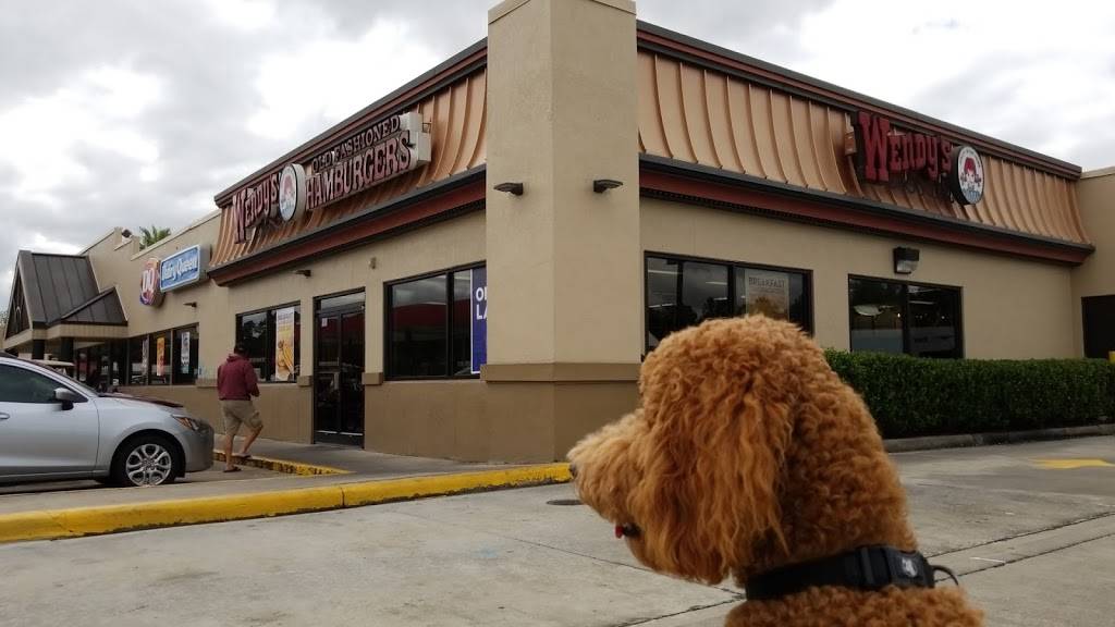 Wendys | restaurant | 9587 Charleston Hwy, St George, SC 29477, USA | 8435639090 OR +1 843-563-9090