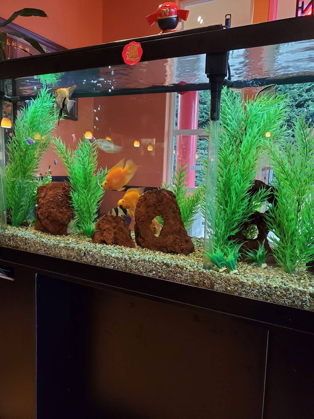 Beijing Chinese Cuisine | restaurant | 1008 Cedar Ave, Marysville, WA 98270, USA | 3606537545 OR +1 360-653-7545