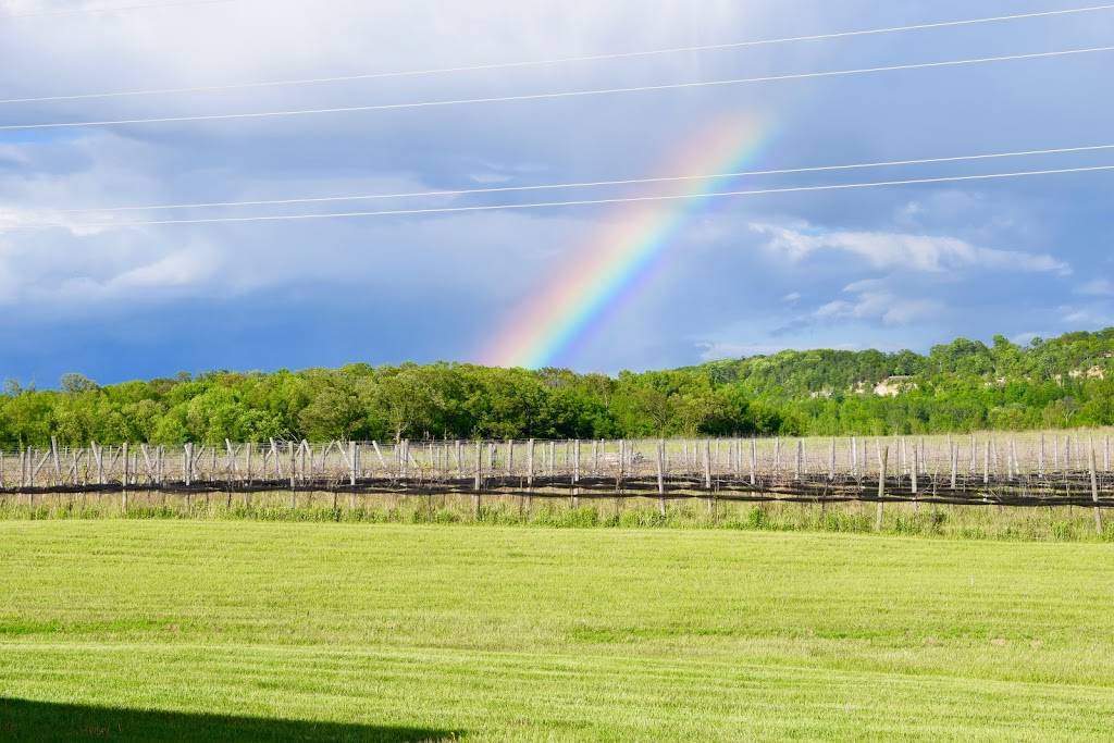 LedgeStone Vineyards | meal takeaway | 6381 WI-57, Greenleaf, WI 54126, USA | 9205324384 OR +1 920-532-4384