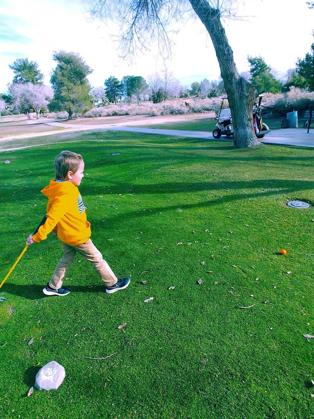 Antelope Valley Country Club | night club | 39800 Country Club Dr, Palmdale, CA 93551, USA | 6619473142 OR +1 661-947-3142