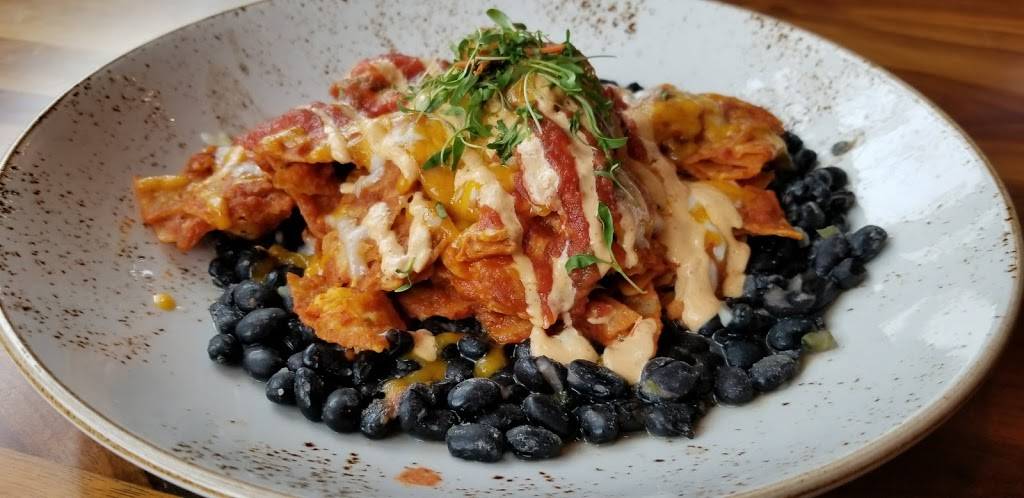 Lazy Dog Restaurant & Bar | restaurant | 19359 Stevens Creek Blvd, Cupertino, CA 95014, USA | 4083594690 OR +1 408-359-4690