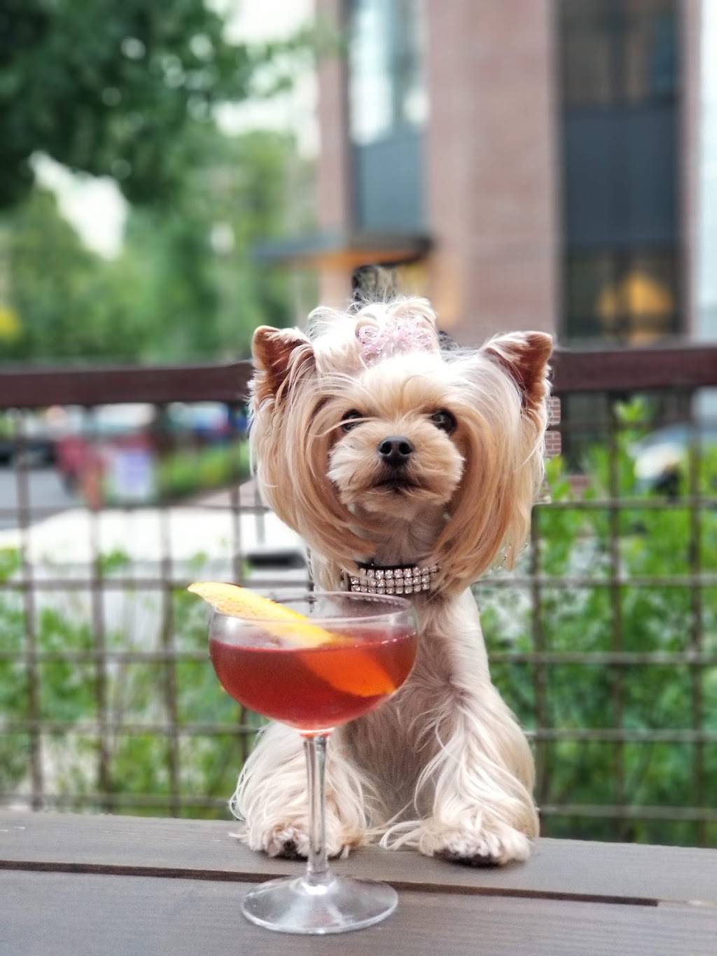 Rolf and Daughters | restaurant | 700 Taylor St, Nashville, TN 37208, USA | 6158669897 OR +1 615-866-9897