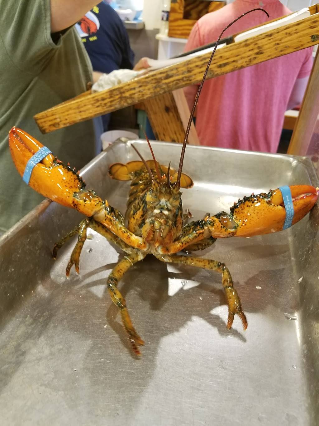 Brown’s Lobster Pound | restaurant | 407 NH-286, Seabrook, NH 03874, USA | 6034743331 OR +1 603-474-3331