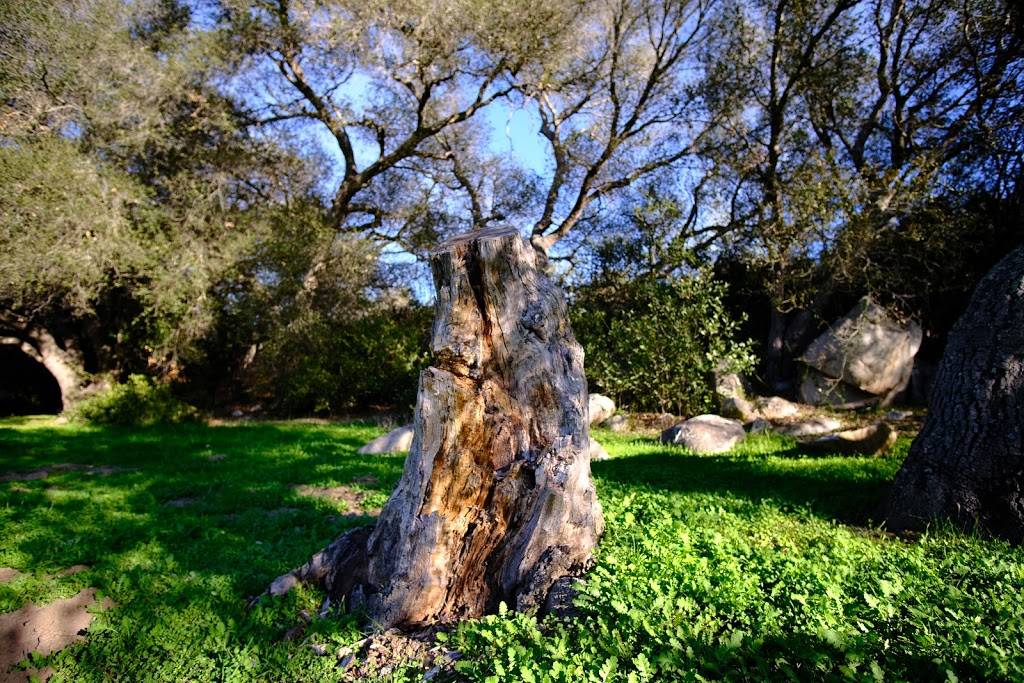 El Salto de Guadalupe | restaurant | México 1, Chapultepec, 22785 Ensenada, B.C., Mexico | 0446644077751 OR +52 1 664 407 7751