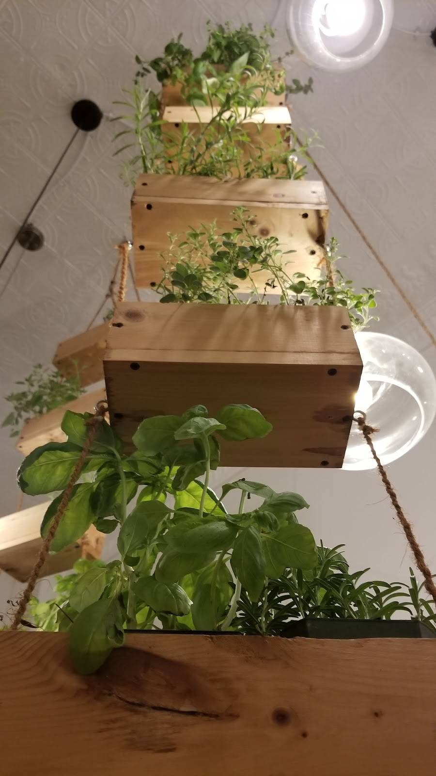 F.L.X. Table | restaurant | 22 Linden St, Geneva, NY 14456, USA | 3157303083 OR +1 315-730-3083