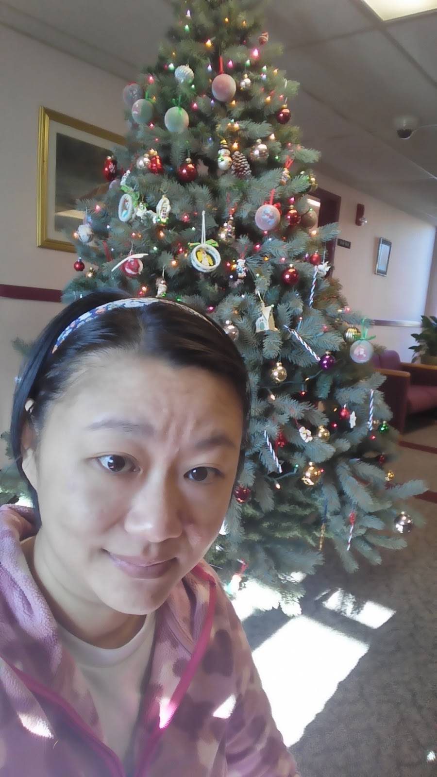 Angelinas Braintree | restaurant | 419 Elm St, Braintree, MA 02184, USA | 7818437827 OR +1 781-843-7827