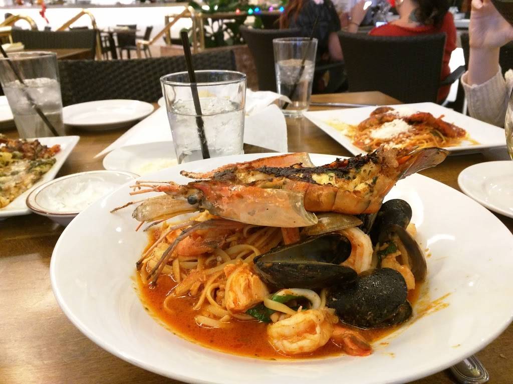 Mezzet Mediterranean Restaurant | restaurant | 3333 Bear St #118, Costa Mesa, CA 92626, USA | 7145403365 OR +1 714-540-3365