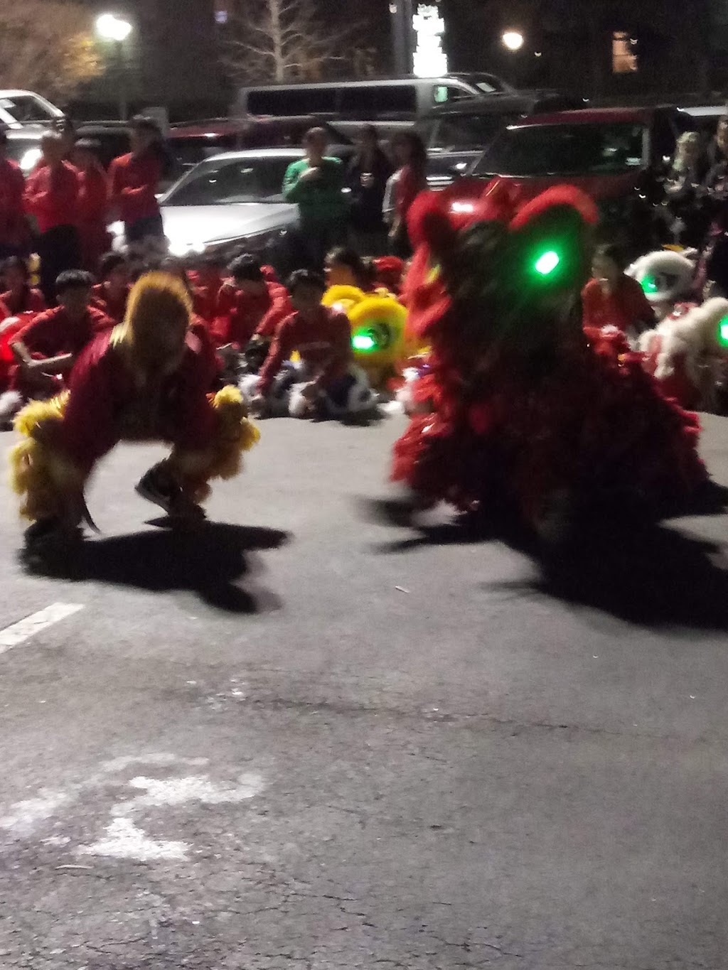 Shanghai River | restaurant | 2407 Westheimer Rd, Houston, TX 77098, USA | 7135285528 OR +1 713-528-5528