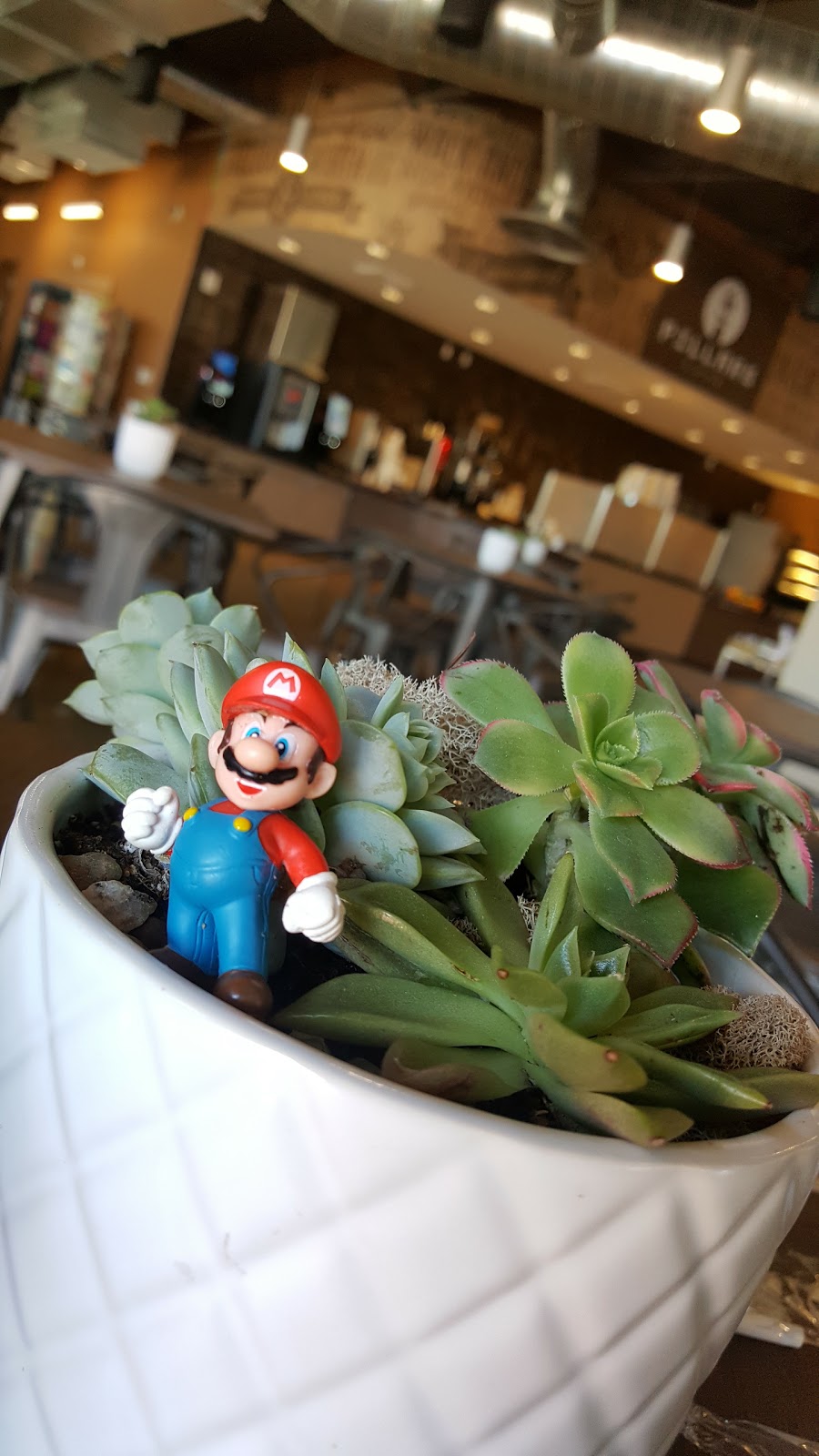 Pillars Café | cafe | 19700 Rinaldi St, Northridge, CA 91326, USA | 8188324480 OR +1 818-832-4480