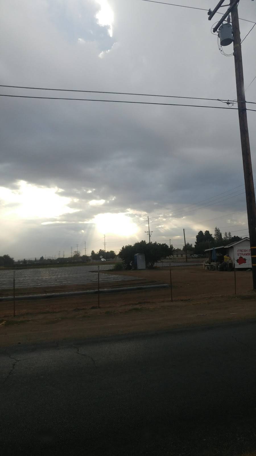 Tonys Tacos | restaurant | 15498, 15446 Ave 288, Visalia, CA 93292, USA | 5596799089 OR +1 559-679-9089