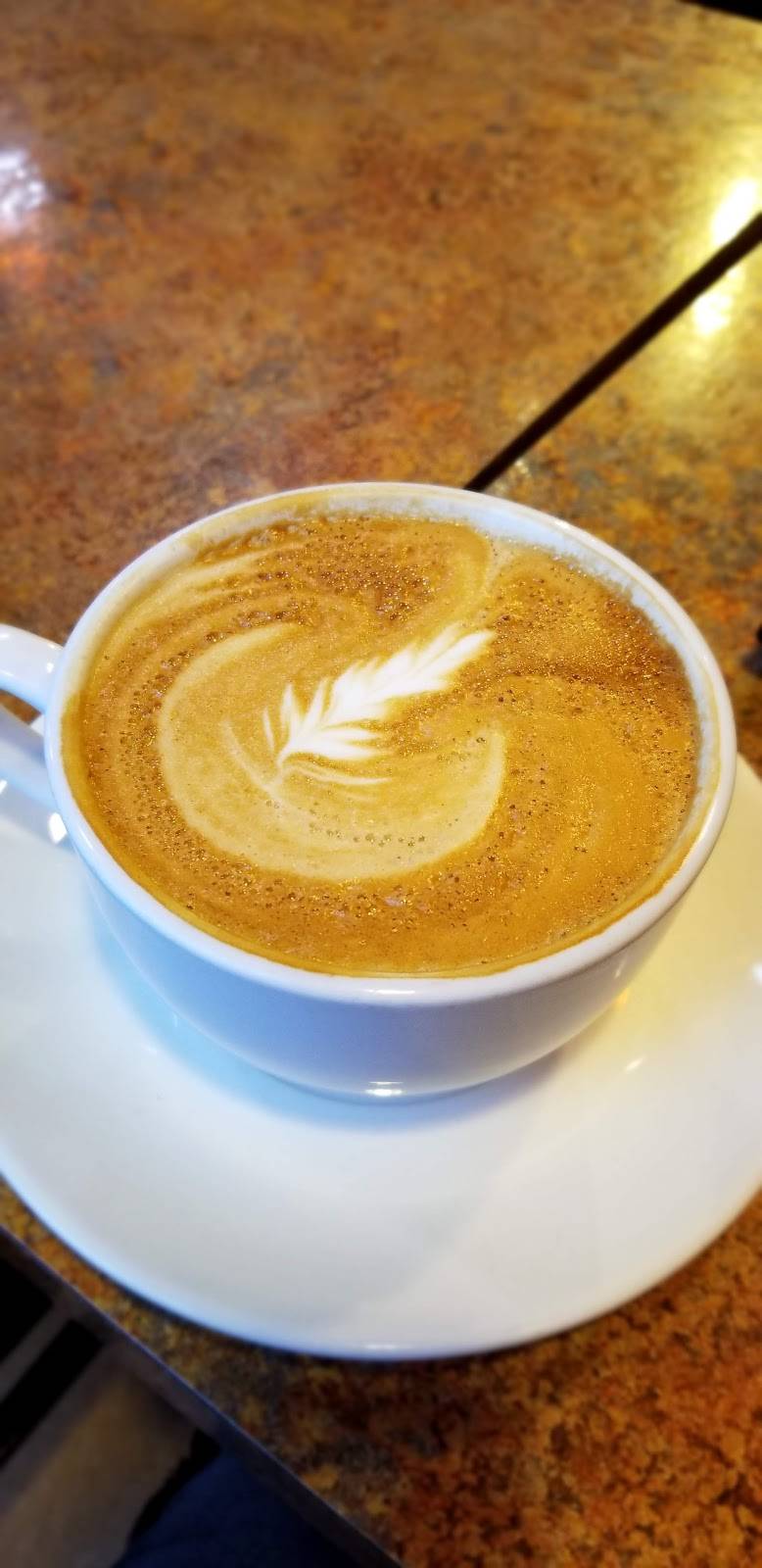 Ithaca Coffee Company | cafe | 311 E Green St, Ithaca, NY 14850, USA | 6072572626 OR +1 607-257-2626