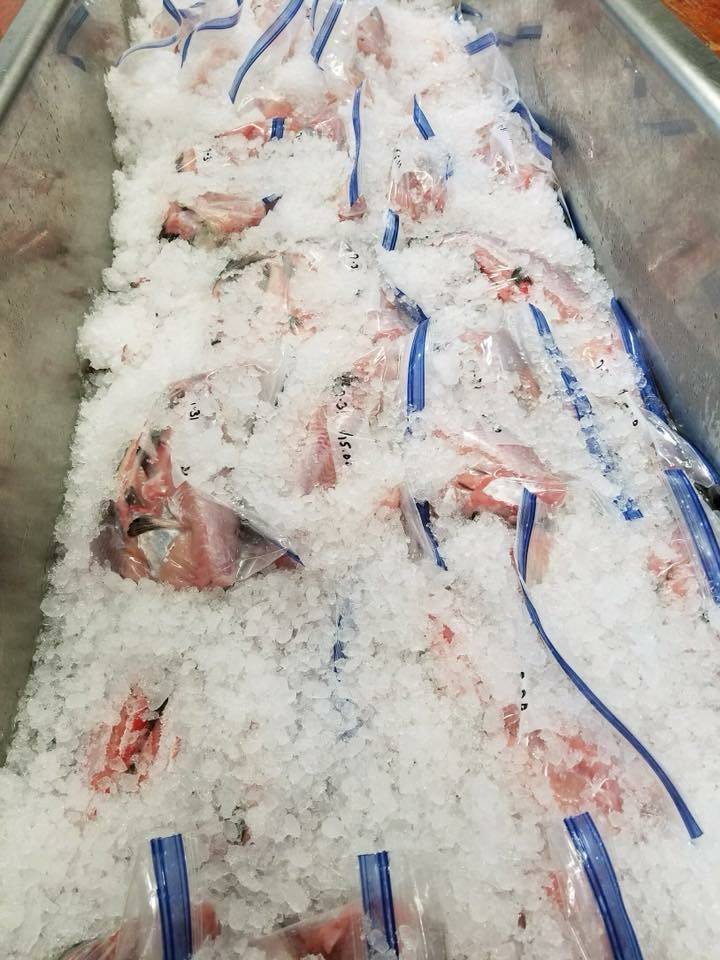 Highway 77 Fish Market | restaurant | 74551 AL-77, Lincoln, AL 35096, USA | 2057633444 OR +1 205-763-3444