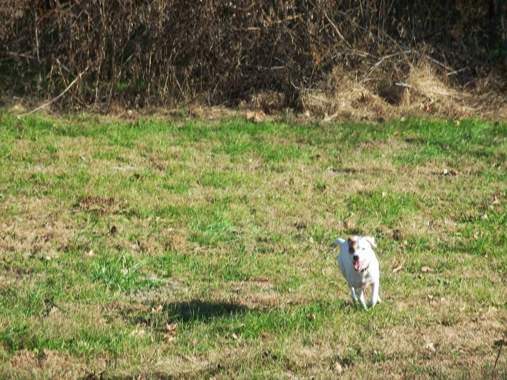 Big Is | restaurant | 578 Main St, Oxford, MA 01540, USA | 5089872224 OR +1 508-987-2224