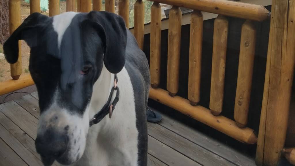 Fridos Snacks | meal takeaway | 3601 S Western Ave Suite A, Los Angeles, CA 90018, USA | 3234020046 OR +1 323-402-0046