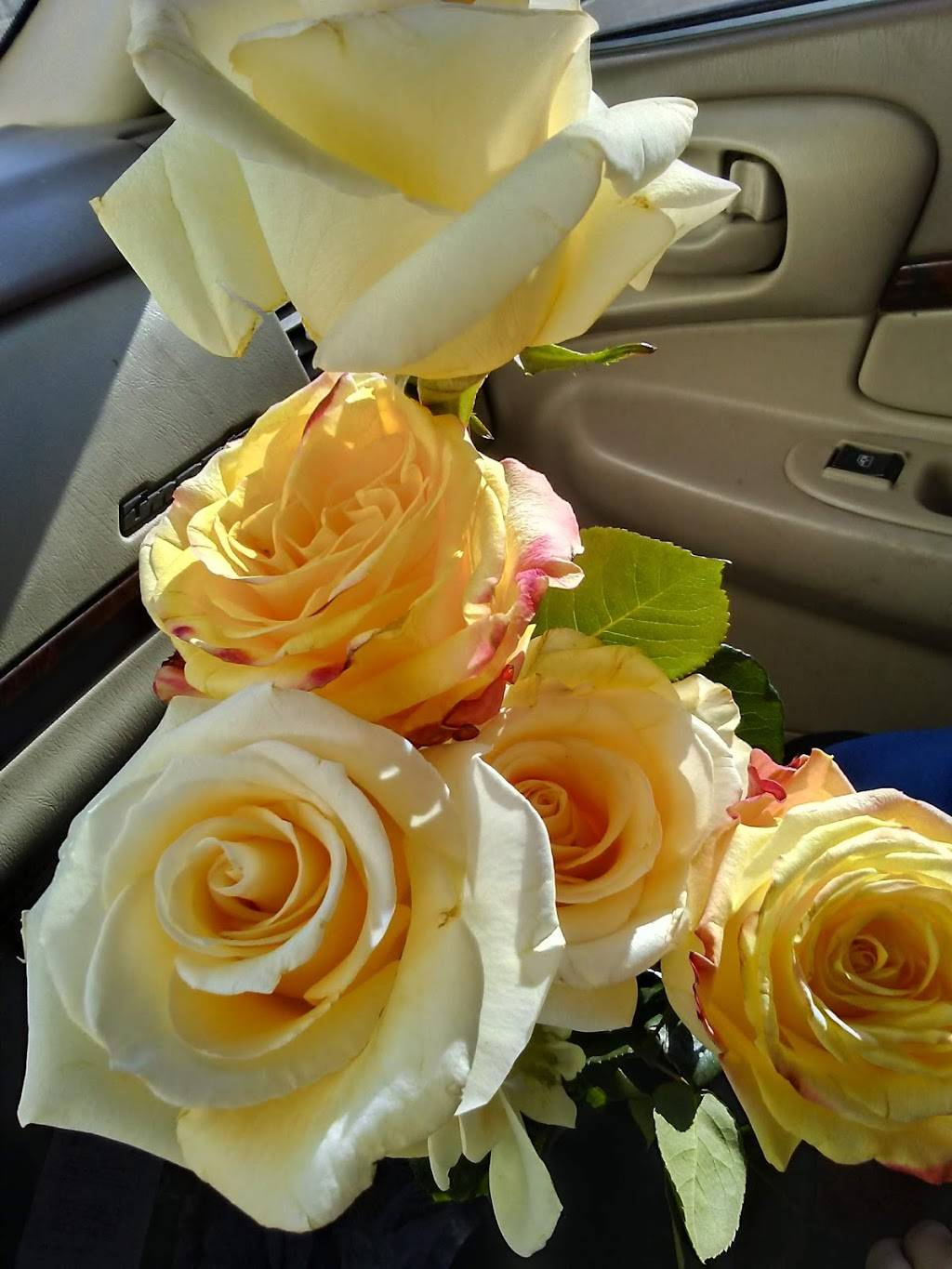 Alejandros Mexican Food | restaurant | 1212 S Rock Rd, Wichita, KS 67207, USA | 3166818166 OR +1 316-681-8166