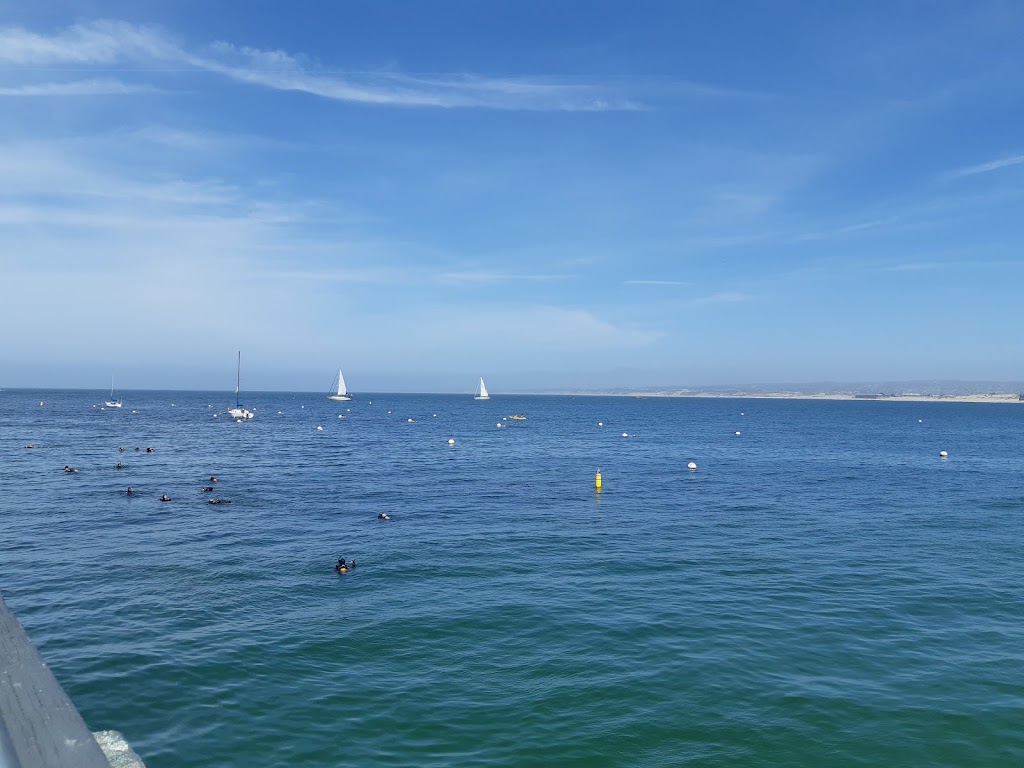 Sandbar & Grill | restaurant | Wharf II, Monterey, CA 93940, USA | 8313732818 OR +1 831-373-2818