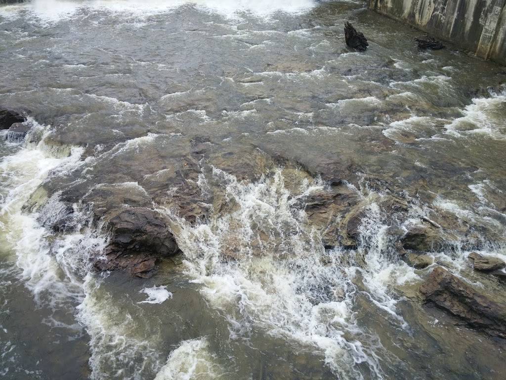 Einstein Bros. Bagels | bakery | 54 Plaza Dr, Chagrin Falls, OH 44022, USA | 4408939384 OR +1 440-893-9384