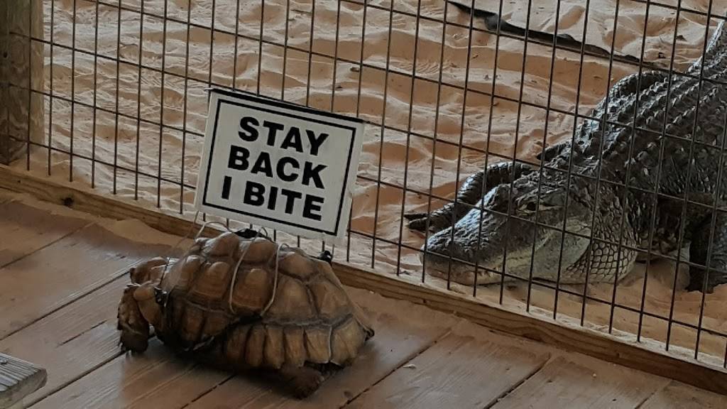 Gator Park | restaurant | 24050 SW 8th St, Miami, FL 33194, USA | 3055592255 OR +1 305-559-2255