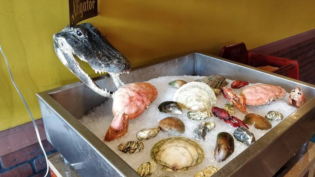 Swamp | restaurant | 5423 Geary Blvd, San Francisco, CA 94121, USA | 4158762828 OR +1 415-876-2828