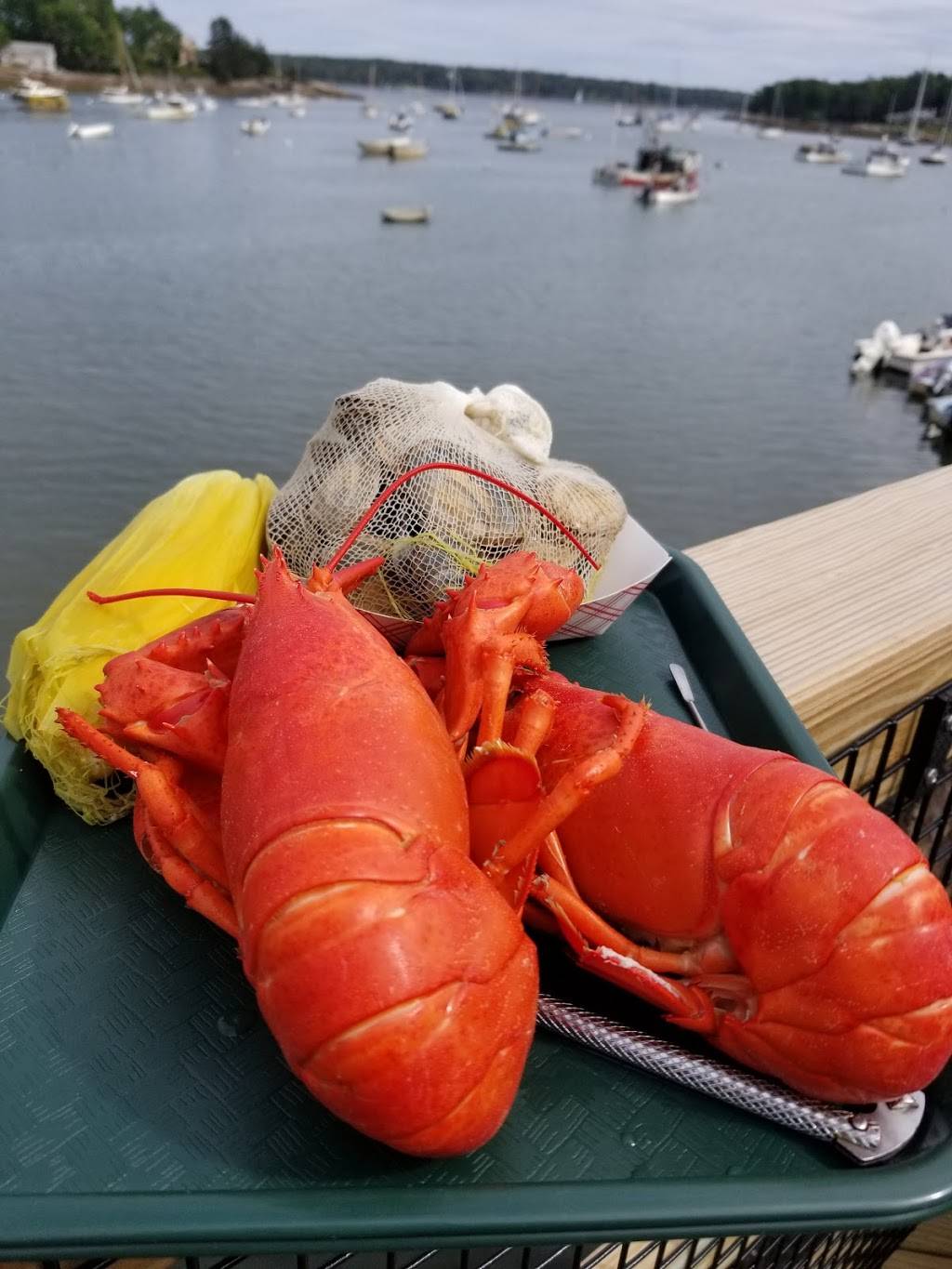 Muscongus Bay Lobster | restaurant | 28 Landing Road, Round Pond, ME 04564, USA | 2075295528 OR +1 207-529-5528