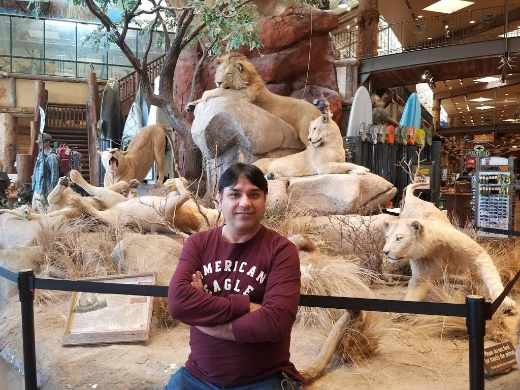 Festival Center | restaurant | 4825 W Flamingo Rd, Las Vegas, NV 89103, USA | 7023415555 OR +1 702-341-5555