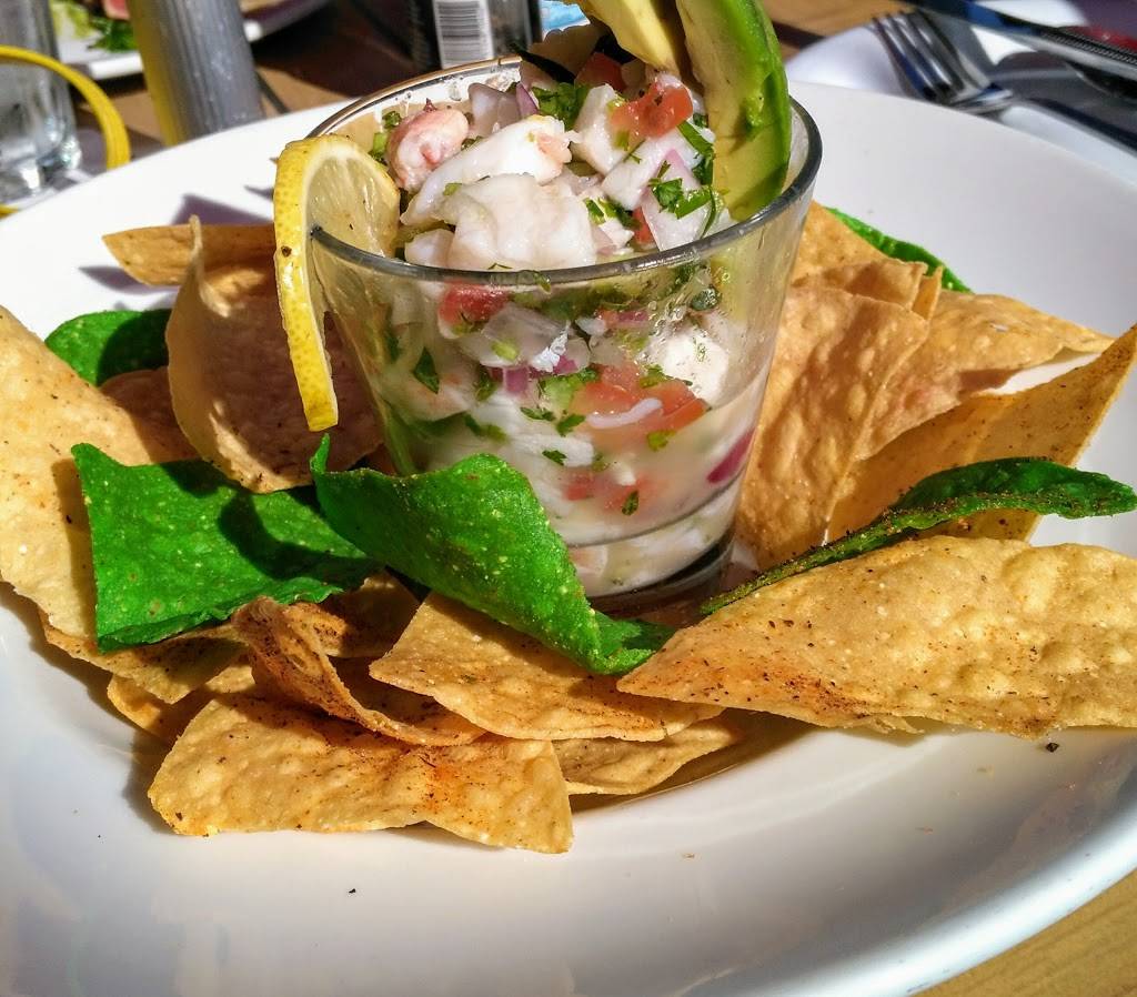 Frescos Waterfront Bistro | restaurant | 300 2nd Ave NE, St. Petersburg, FL 33701, USA | 7278944429 OR +1 727-894-4429