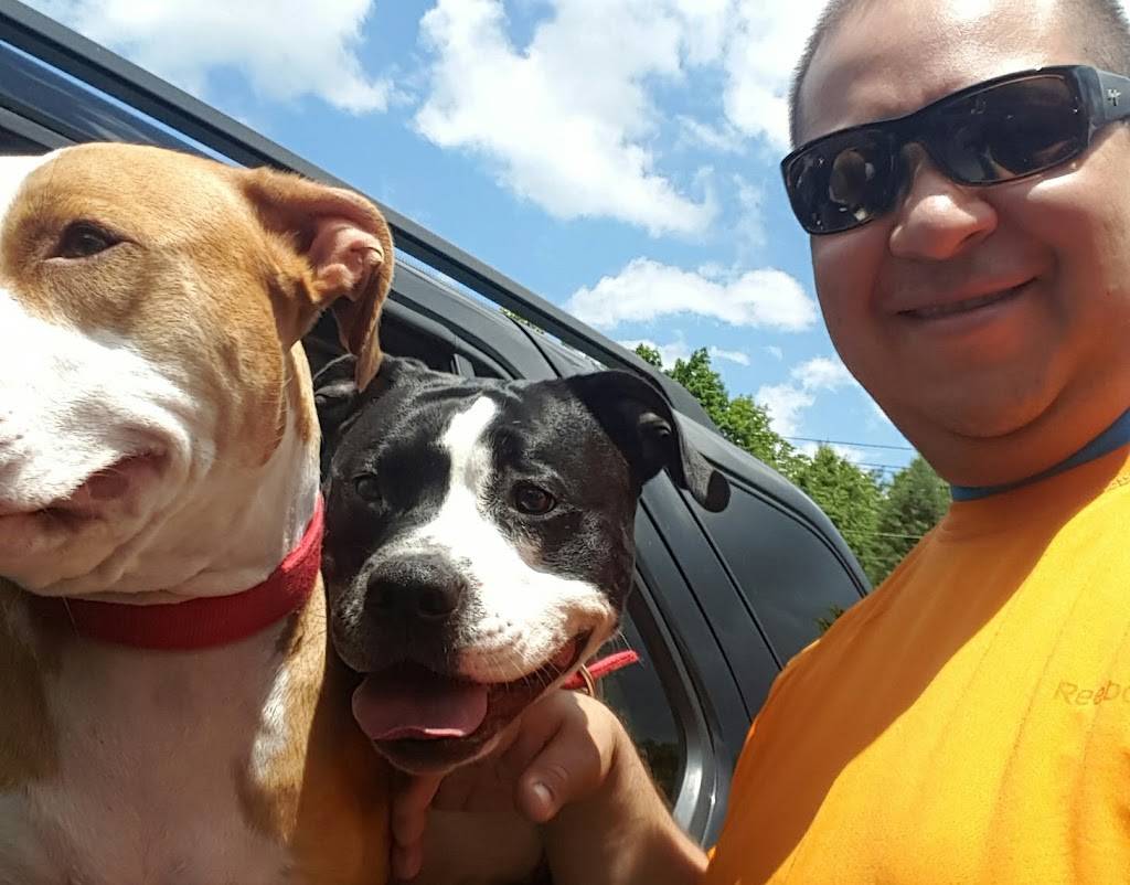 Subway Restaurants | restaurant | 2035 NY-52, Liberty, NY 12754, USA | 8452920218 OR +1 845-292-0218