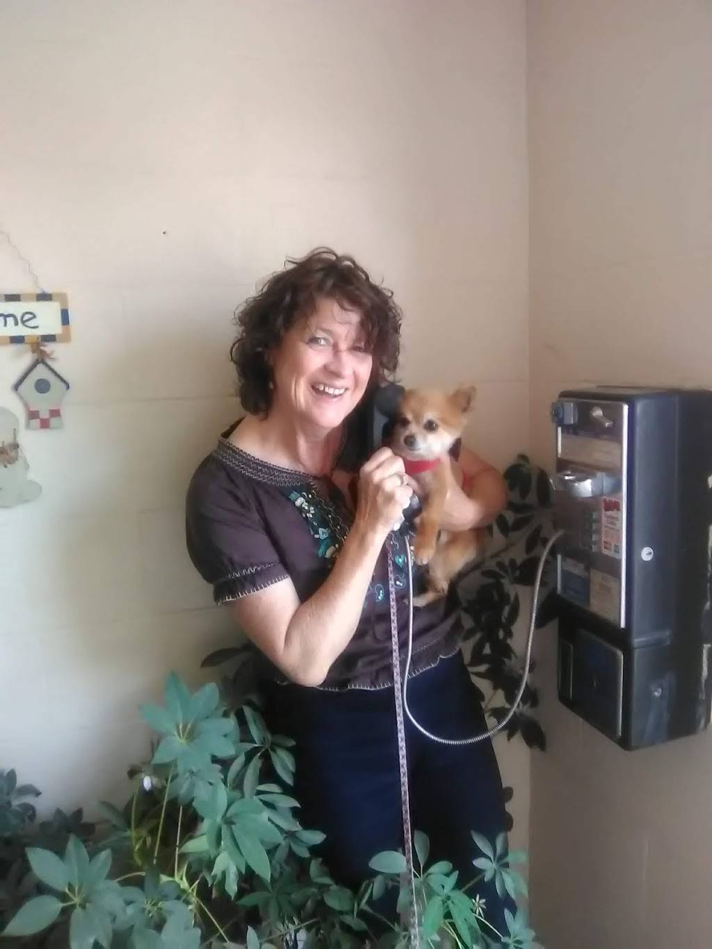 Country Cafe | restaurant | 1710 Fairview Blvd, Fairview, TN 37062, USA | 6157990215 OR +1 615-799-0215