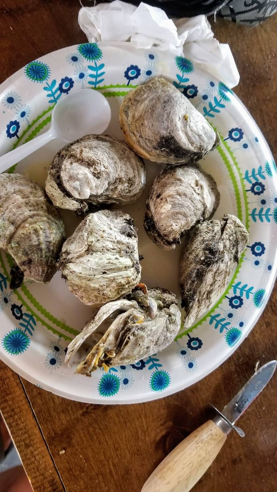 No Name Saloon | restaurant | 2001 S Ridgewood Ave, Edgewater, FL 32141, USA | 3864289229 OR +1 386-428-9229