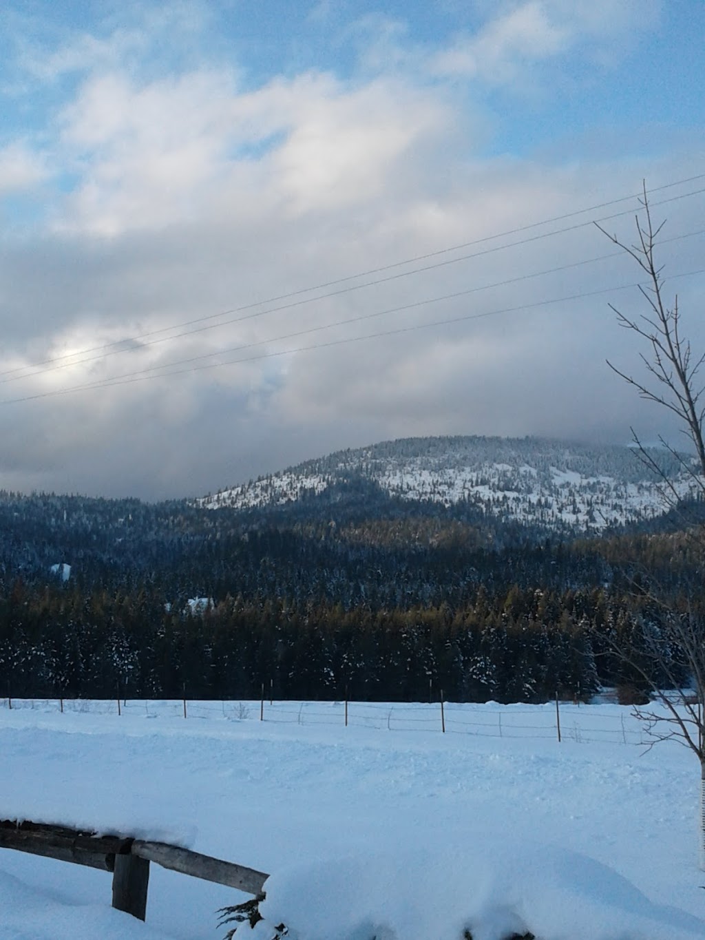 Taras Pizza Company | restaurant | 13735 ID-53, Rathdrum, ID 83858, USA | 2086874992 OR +1 208-687-4992