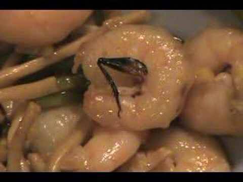 China King | restaurant | 6805 New Utrecht Ave, Brooklyn, NY 11219, USA | 7182561356 OR +1 718-256-1356