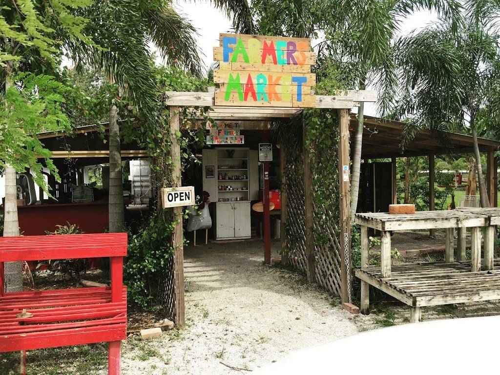 Lous Seafood and catering | restaurant | 5150 S Flamingo Rd, Cooper City, FL 33330, USA | 9544440900 OR +1 954-444-0900