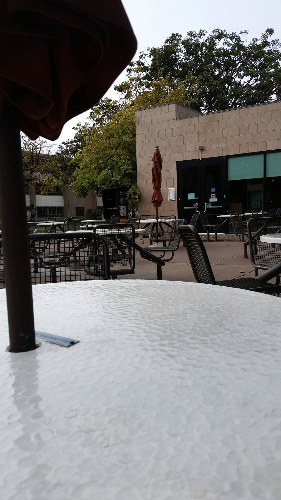 Coral Tree Cafe | restaurant | Building 532, University of California, Santa Barbara, Ocean Rd, Santa Barbara, CA 93106, USA | 8058934704 OR +1 805-893-4704