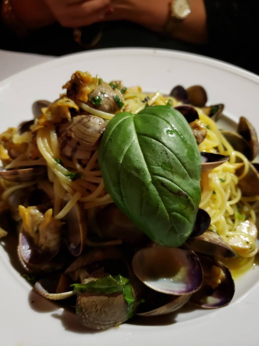 Positano | restaurant | 10018 4th Ave, Brooklyn, NY 11209, USA | 7188331313 OR +1 718-833-1313